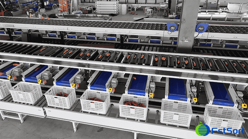 images/1744615232104sweet potato optical sorting machine.png